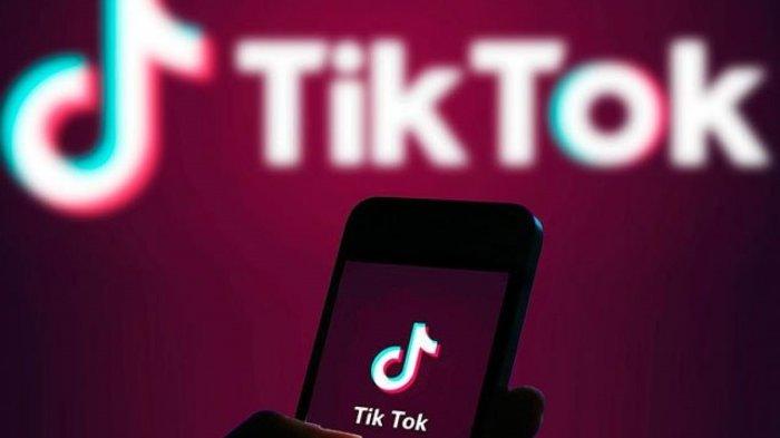 The best online app to download TikTok videos is TTDownloader.