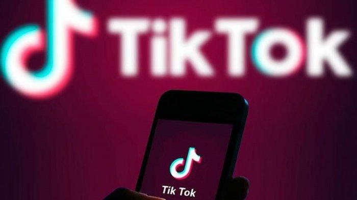 TikTok videos