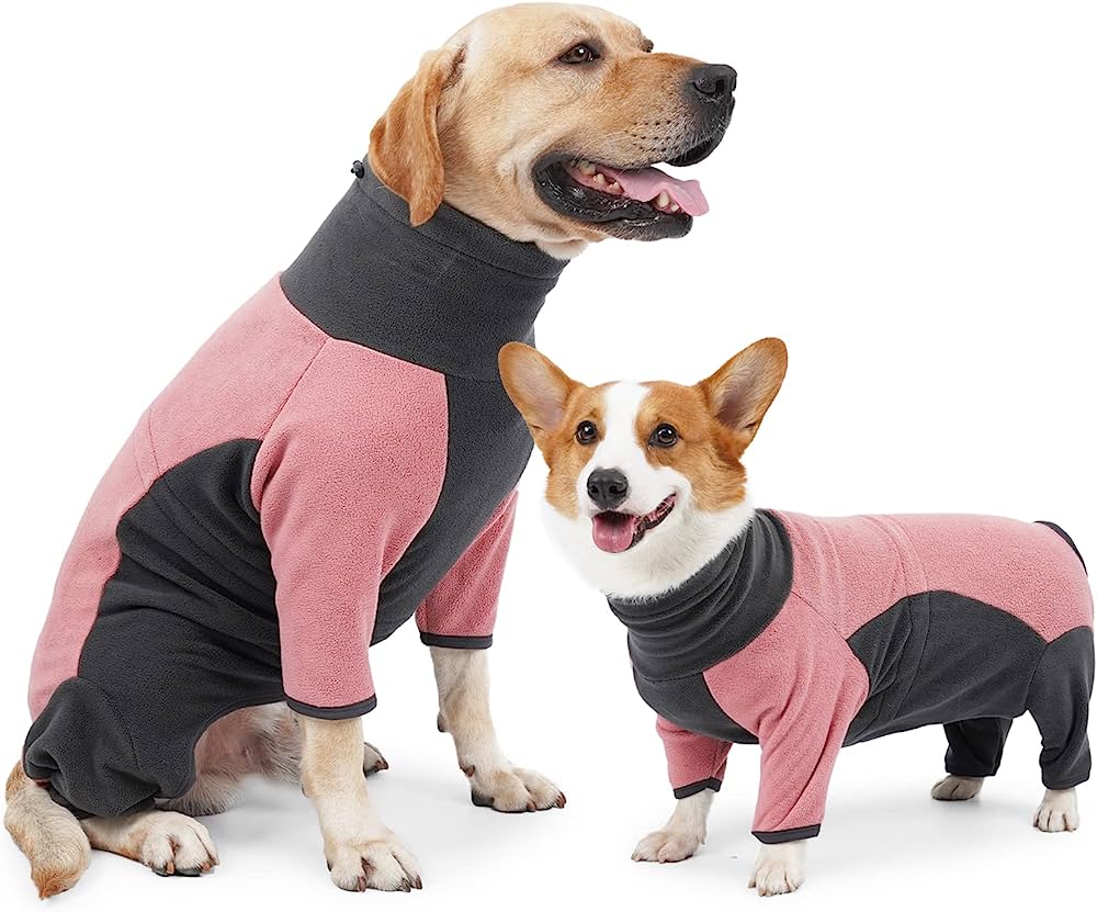 dog coats with legs